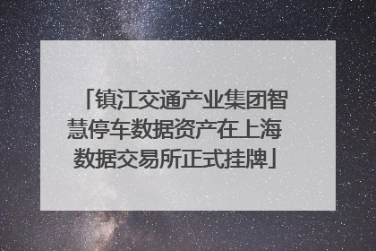 镇江交通产业集团智慧停车数据资产在上海数据交易所正式挂牌