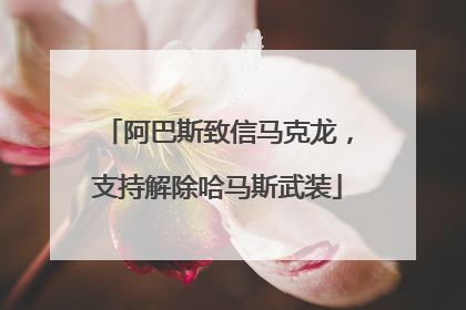 阿巴斯致信马克龙，支持解除哈马斯武装