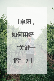 阜阳，如何用好“关键一招”？