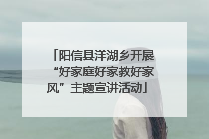 阳信县洋湖乡开展“好家庭好家教好家风”主题宣讲活动