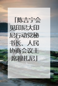 陈吉宁会见印尼大印尼行动党秘书长、人民协商会议主席穆扎尼