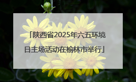 陕西省2025年六五环境日主场活动在榆林市举行