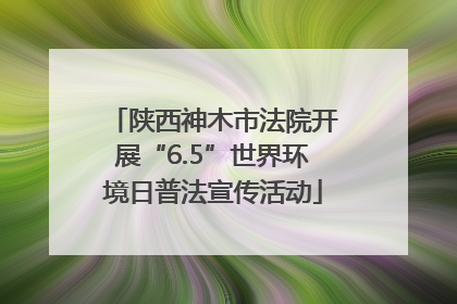 陕西神木市法院开展“6.5”世界环境日普法宣传活动