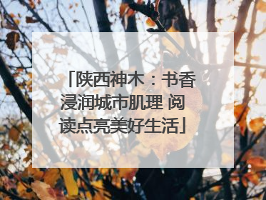 陕西神木：书香浸润城市肌理 阅读点亮美好生活