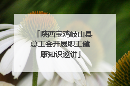 陕西宝鸡岐山县总工会开展职工健康知识巡讲
