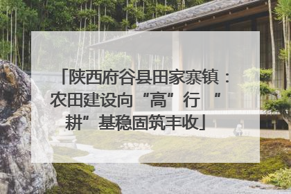 陕西府谷县田家寨镇：农田建设向“高”行 “耕”基稳固筑丰收