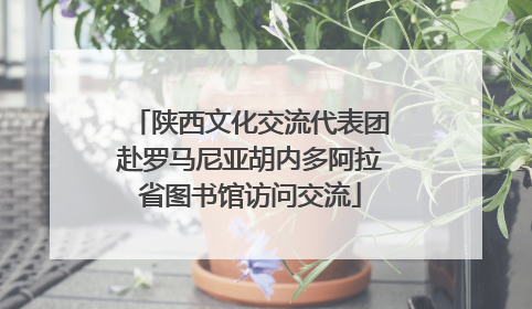 陕西文化交流代表团赴罗马尼亚胡内多阿拉省图书馆访问交流