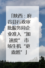 陕西：府谷县行政审批服务局企业准入“加速度” 市场生机“更盎然”