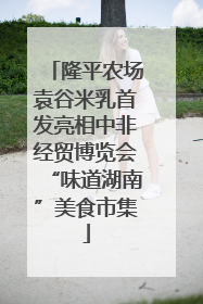 隆平农场袁谷米乳首发亮相中非经贸博览会“味道湖南”美食市集