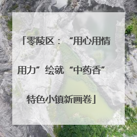 零陵区：“用心用情用力”绘就“中药香”特色小镇新画卷