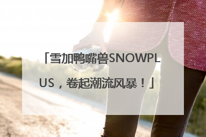 雪加鸭嘴兽SNOWPLUS，卷起潮流风暴！