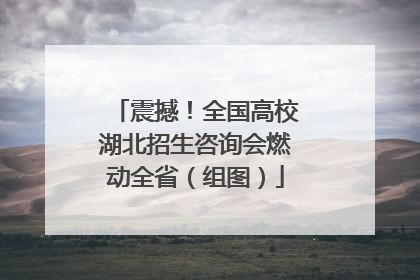 震撼！全国高校湖北招生咨询会燃动全省（组图）