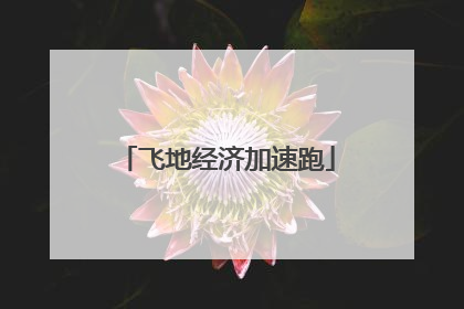 飞地经济加速跑