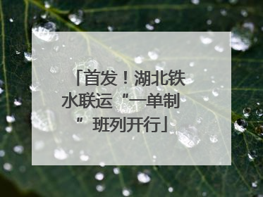 首发！湖北铁水联运“一单制”班列开行