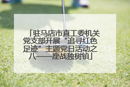 驻马店市直工委机关党支部开展“追寻红色足迹”主题党日活动之八——鏖战独树镇
