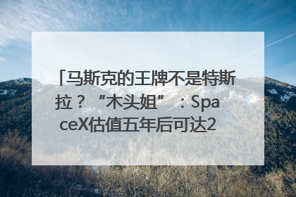 马斯克的王牌不是特斯拉？“木头姐”：SpaceX估值五年后可达2.5万亿美元！