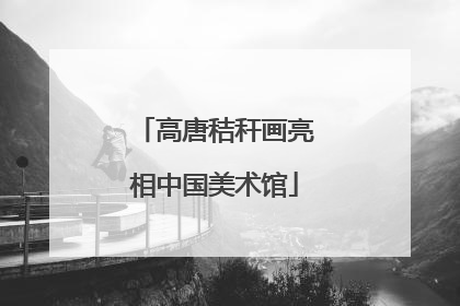 高唐秸秆画亮相中国美术馆