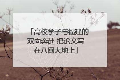 高校学子与福建的双向奔赴 把论文写在八闽大地上