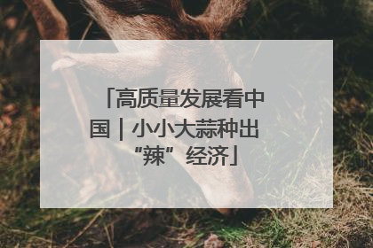 高质量发展看中国｜小小大蒜种出“辣”经济