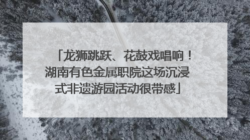 龙狮跳跃、花鼓戏唱响！湖南有色金属职院这场沉浸式非遗游园活动很带感