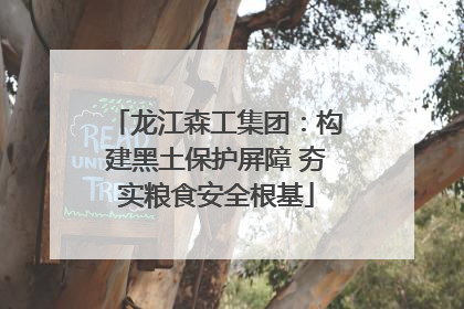 龙江森工集团：构建黑土保护屏障 夯实粮食安全根基