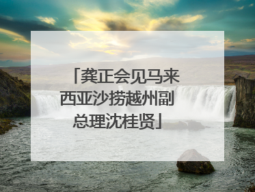 龚正会见马来西亚沙捞越州副总理沈桂贤