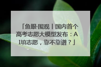 鱼眼·围观丨国内首个高考志愿大模型发布：AI填志愿，靠不靠谱？