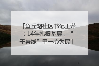鱼丘湖社区书记王萍：14年扎根基层，“千条线”里一心为民