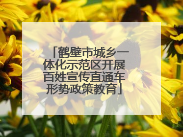 鹤壁市城乡一体化示范区开展百姓宣传直通车形势政策教育