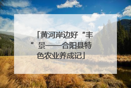 黄河岸边好“丰”景——合阳县特色农业养成记