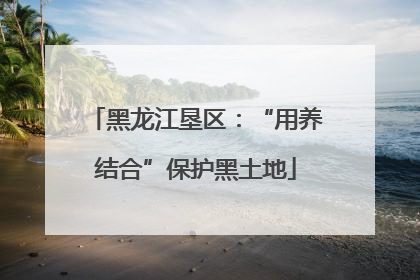 黑龙江垦区：“用养结合”保护黑土地