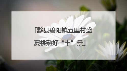 黟县碧阳镇五里村盛夏桃熟好“丰”景