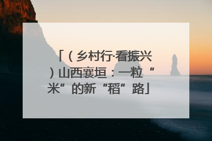 （乡村行·看振兴）山西襄垣：一粒“米”的新“稻”路