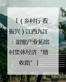 （乡村行·看振兴）江西九江：甜蜜产业拓宽村集体经济“增收路”