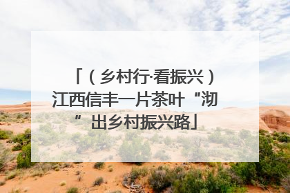 （乡村行·看振兴）江西信丰一片茶叶“沏”出乡村振兴路