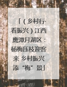 （乡村行·看振兴）江西鹰潭月湖区：杨梅压枝迎客来 乡村振兴添“梅”景