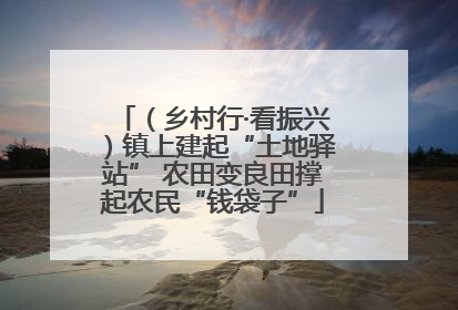 （乡村行·看振兴）镇上建起“土地驿站” 农田变良田撑起农民“钱袋子”