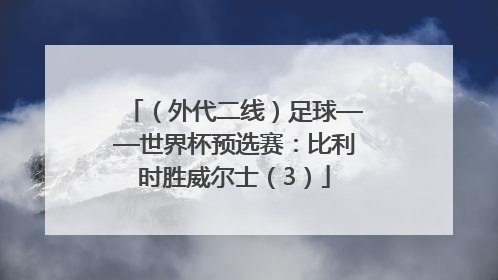 （外代二线）足球——世界杯预选赛：比利时胜威尔士（3）