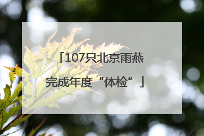 107只北京雨燕完成年度“体检”