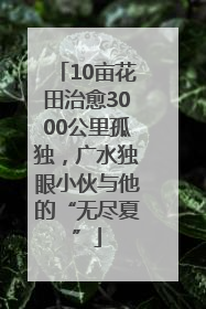10亩花田治愈3000公里孤独，广水独眼小伙与他的“无尽夏”