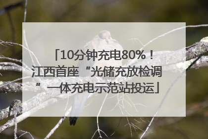 10分钟充电80%！江西首座“光储充放检调”一体充电示范站投运