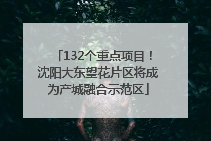 132个重点项目！沈阳大东望花片区将成为产城融合示范区