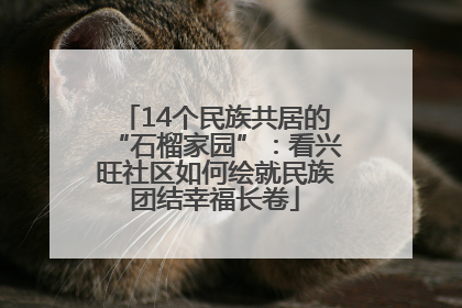 14个民族共居的“石榴家园”：看兴旺社区如何绘就民族团结幸福长卷