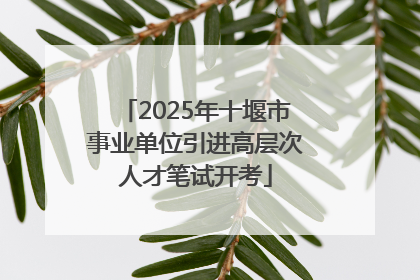 2025年十堰市事业单位引进高层次人才笔试开考