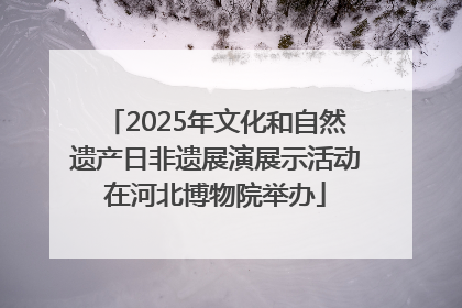 2025年文化和自然遗产日非遗展演展示活动在河北博物院举办