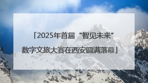 2025年首届“智见未来”数字文旅大赛在西安圆满落幕