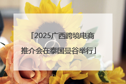 2025广西跨境电商推介会在泰国曼谷举行