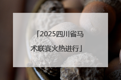2025四川省马术联赛火热进行