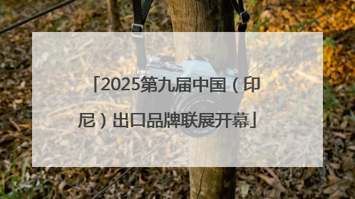 2025第九届中国（印尼）出口品牌联展开幕