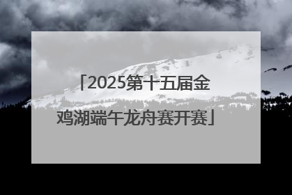 2025第十五届金鸡湖端午龙舟赛开赛